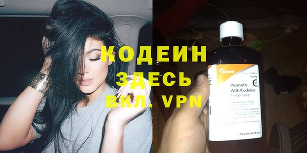 шишки Алексин