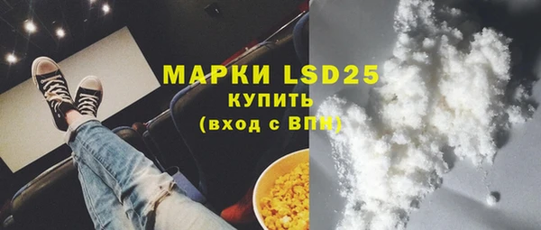 шишки Алексин