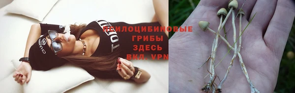 шишки Алексин
