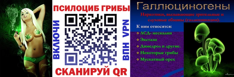 маркетплейс наркотические препараты  Горбатов  Псилоцибиновые грибы MAGIC MUSHROOMS  blacksprut как зайти 